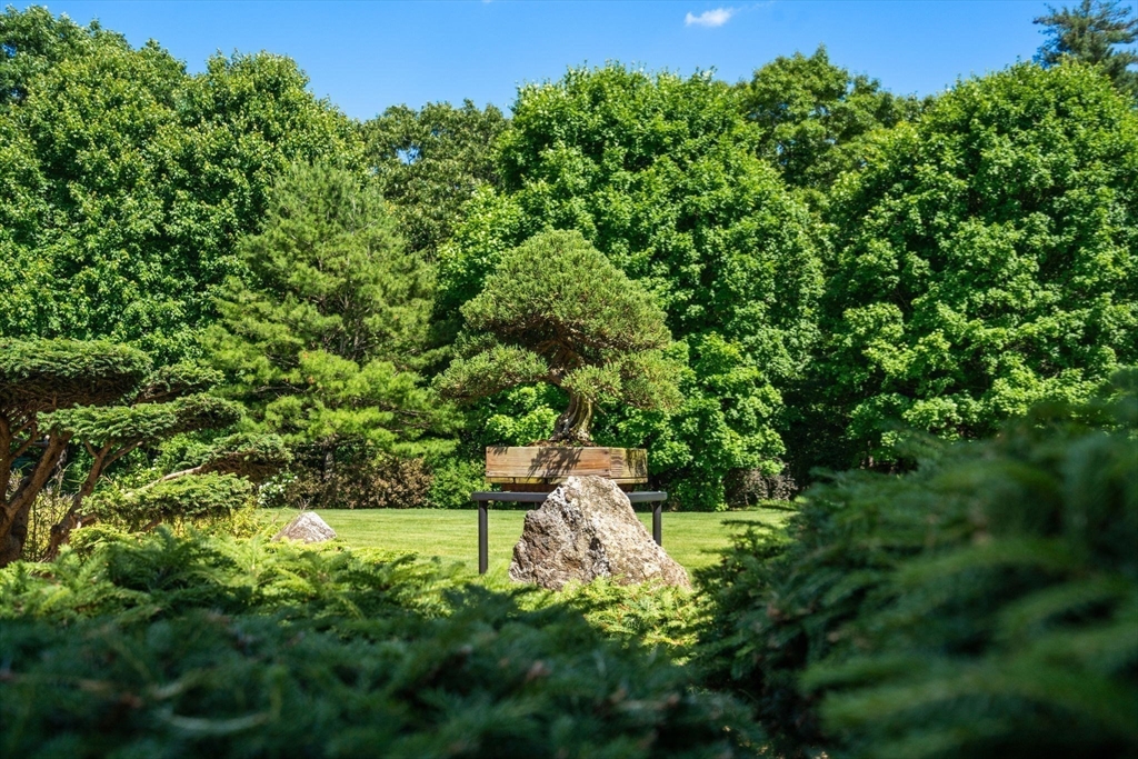 495 Hugh Cargill Road Concord, MA 01742 - Photo 13 of 42 a view of yard with green space