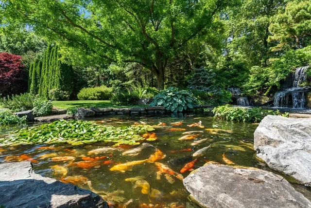 a view of a garden with a bench