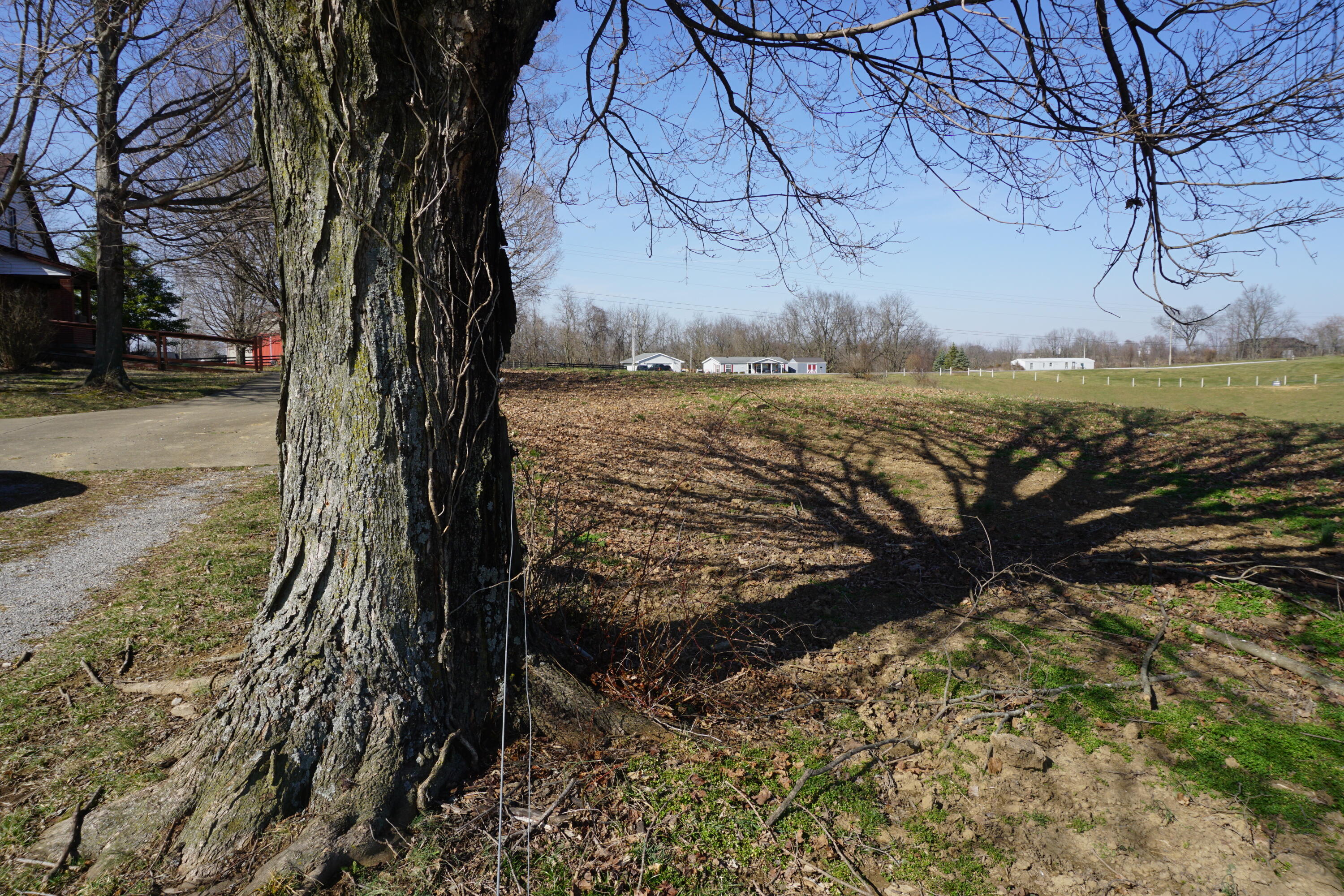 420 Sugar Creek Road Dry Ridge, KY 41035 - Photo 37 of 41