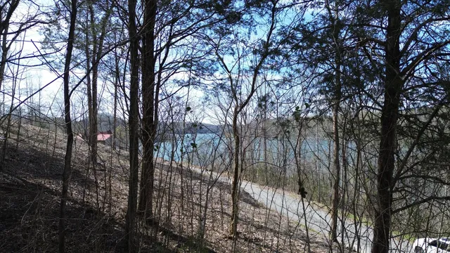 $164,000 | 87 Harbor Pointe Drive, Silver Point, TN 38582