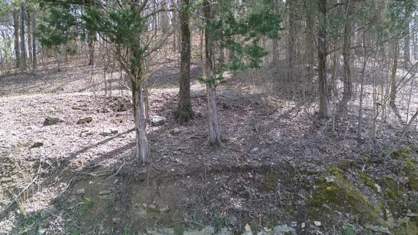 $164,000 | 87 Harbor Pointe Drive, Silver Point, TN 38582