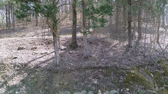 $164,000 | 87 Harbor Pointe Drive, Silver Point, TN 38582