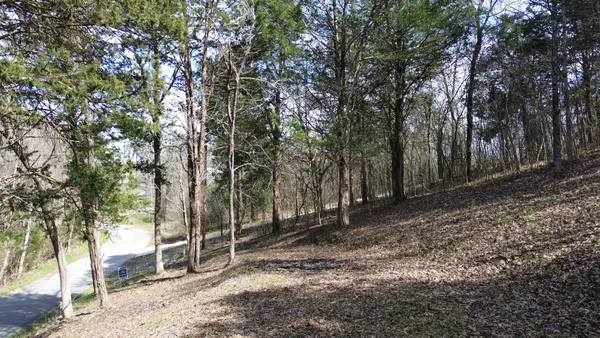 $164,000 | 87 Harbor Pointe Drive, Silver Point, TN 38582