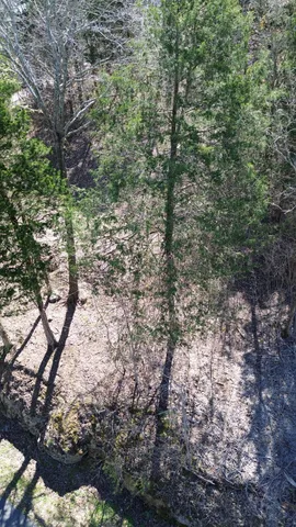 $164,000 | 87 Harbor Pointe Drive, Silver Point, TN 38582