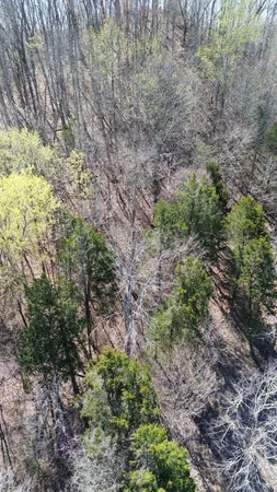 $164,000 | 87 Harbor Pointe Drive, Silver Point, TN 38582