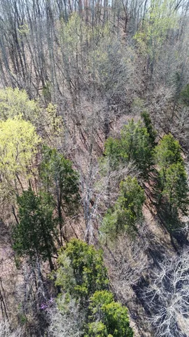 $164,000 | 87 Harbor Pointe Drive, Silver Point, TN 38582