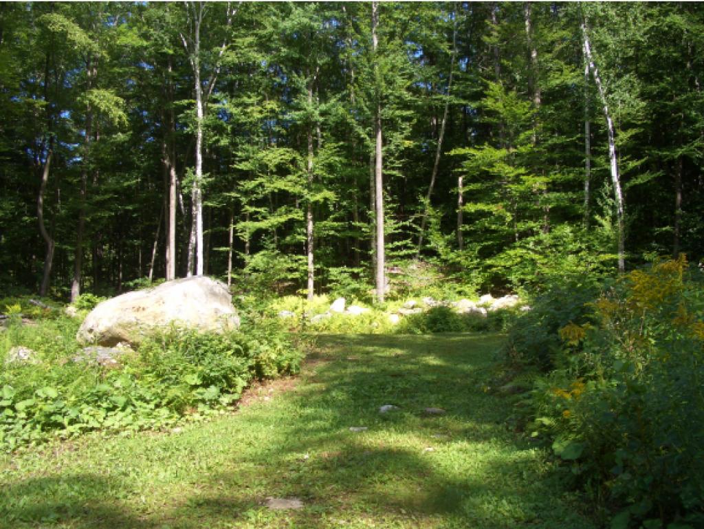 775 Wilderness Road Shrewsbury, VT 05738 - Photo 24 of 30