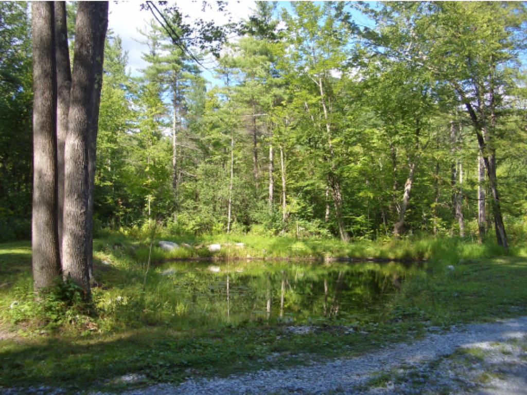 775 Wilderness Road Shrewsbury, VT 05738 - Photo 27 of 30