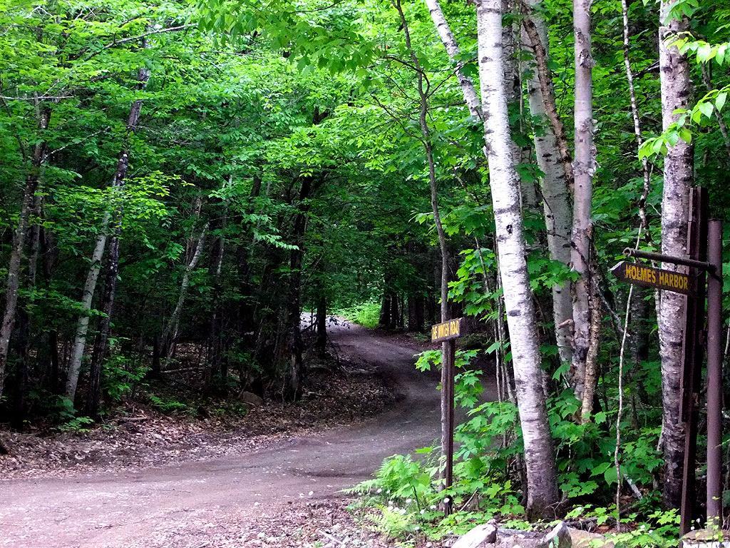 Lot 1 South Shore Road Houlton, ME 04730 - Photo 20 of 35 Photo