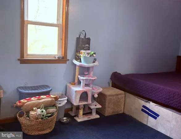 a living room with furniture and a gate