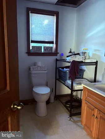 a view of a yard with large trees