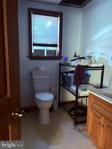 a view of a yard with large trees