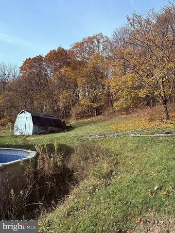 a view of a garden with large trees