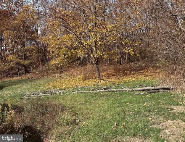 a view of a yard with wooden fence