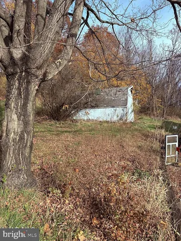a view of a yard with large trees
