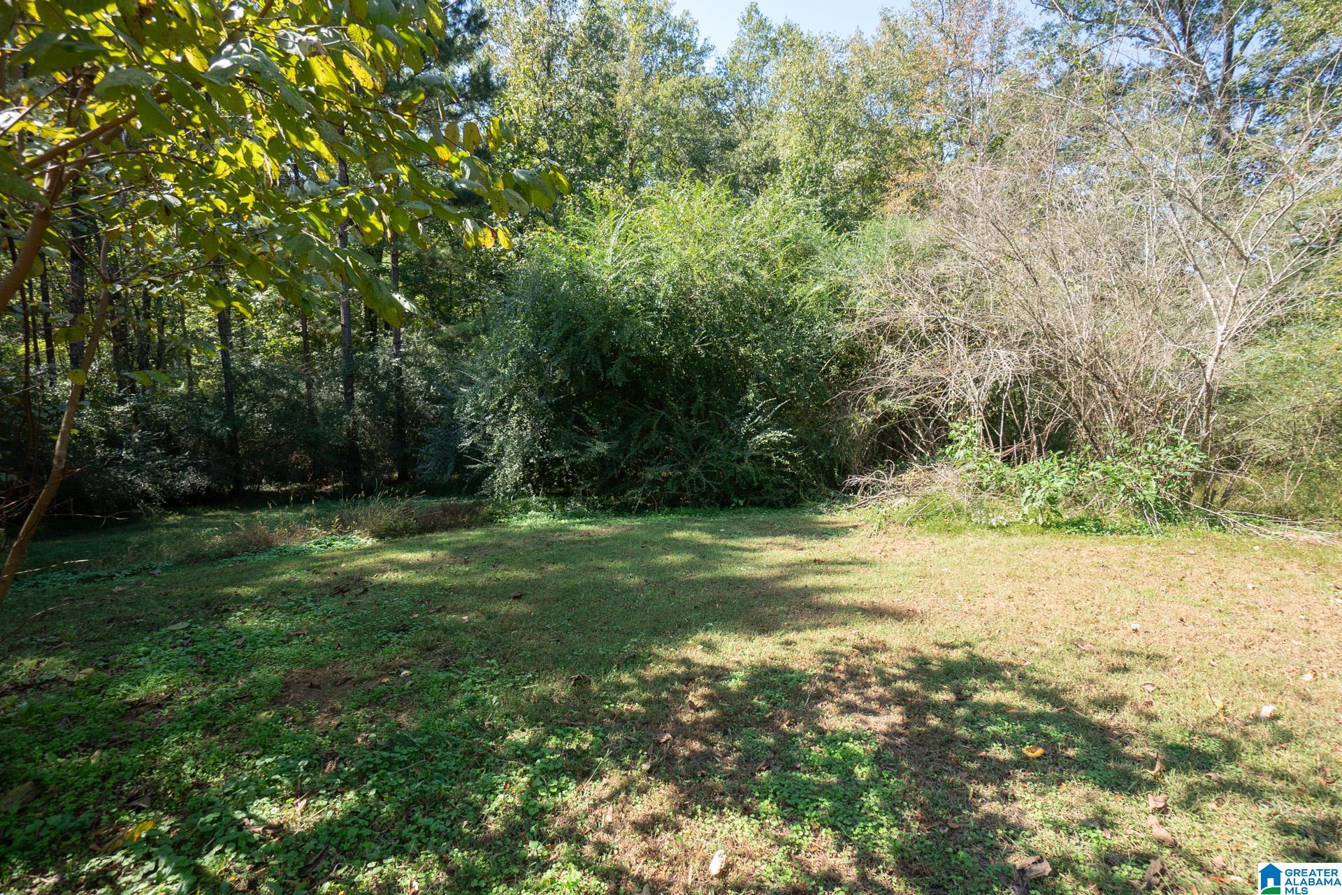 9204 Marsh Mountain Road Pinson, AL 35126 - Photo 46 of 56