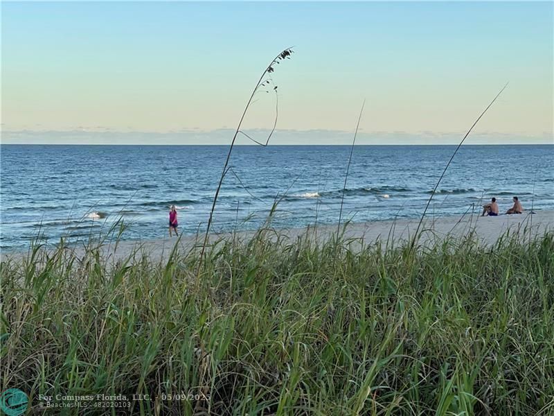 a view of a field with a bridge