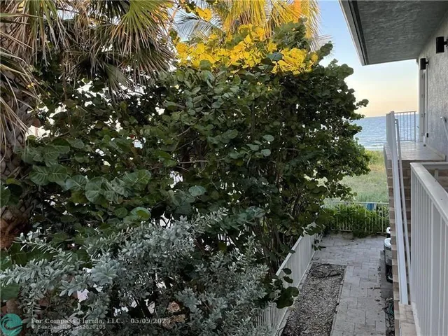 a view of a tree with a tree