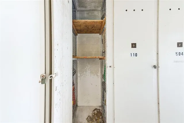 a view of front a house and plants