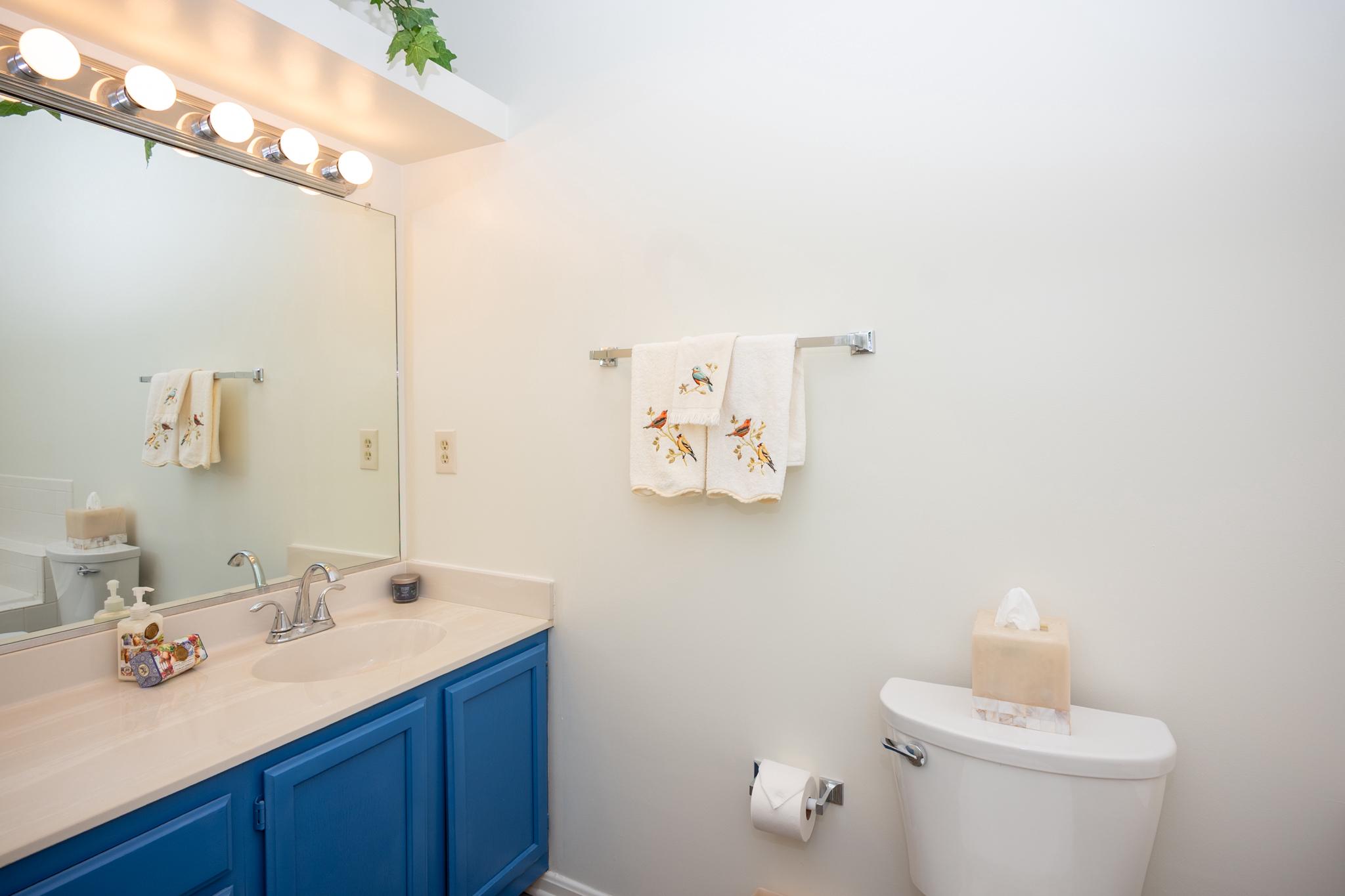 3418 Littleleaf Place Laurel, MD 20724 - Photo 18 of 31 Large Full Bath with Soaking Tub and Shower
