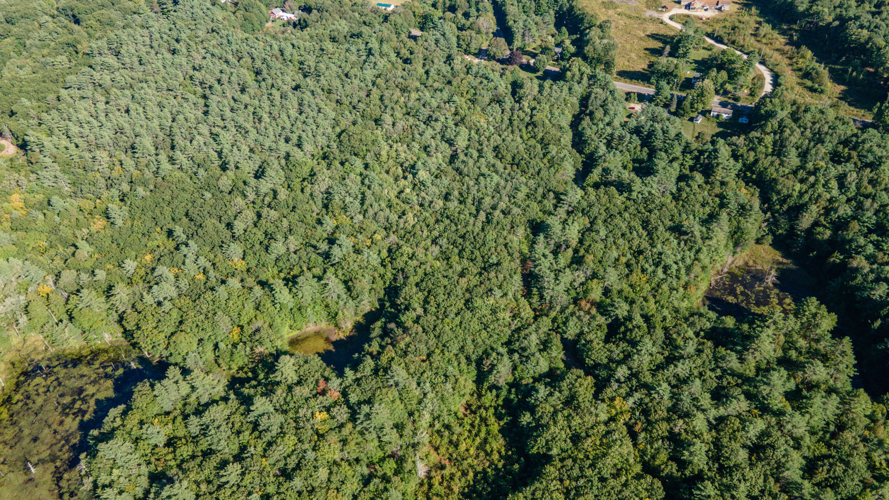 497 Litchfield Road Farmingdale, ME 04344 - Photo 14 of 15 Land11