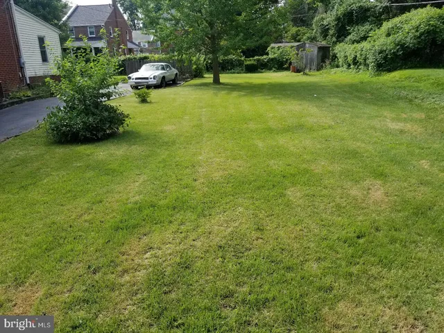 a view of field with trees