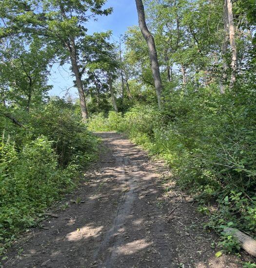 N64W21021 Mill Road Menomonee Falls, WI 53051 - Photo 40 of 40 Walking Trail-2