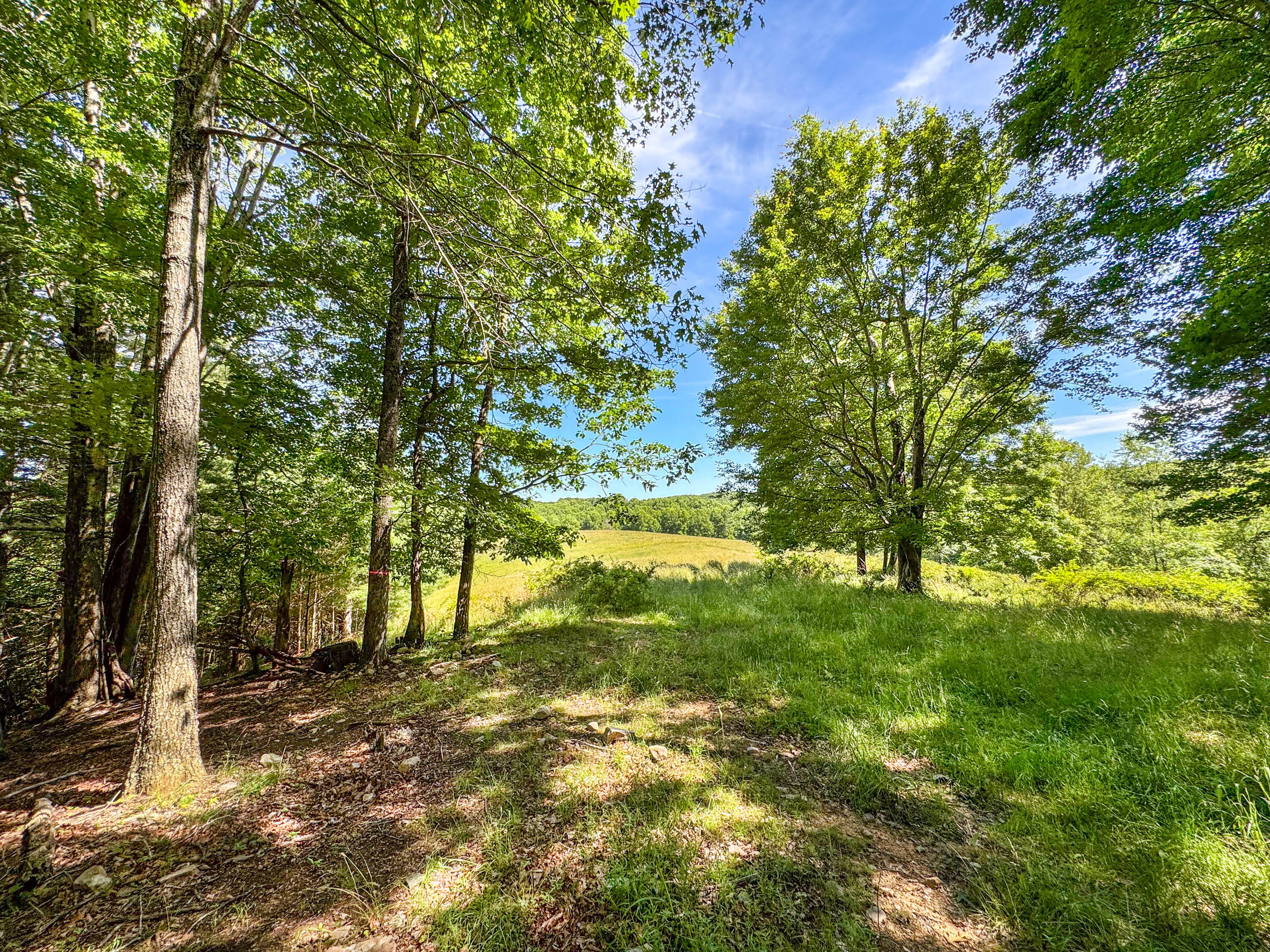 Lot 6 Sumpter Road Northwest Willis, VA 24380 - Photo 12 of 14 Lot-6-24