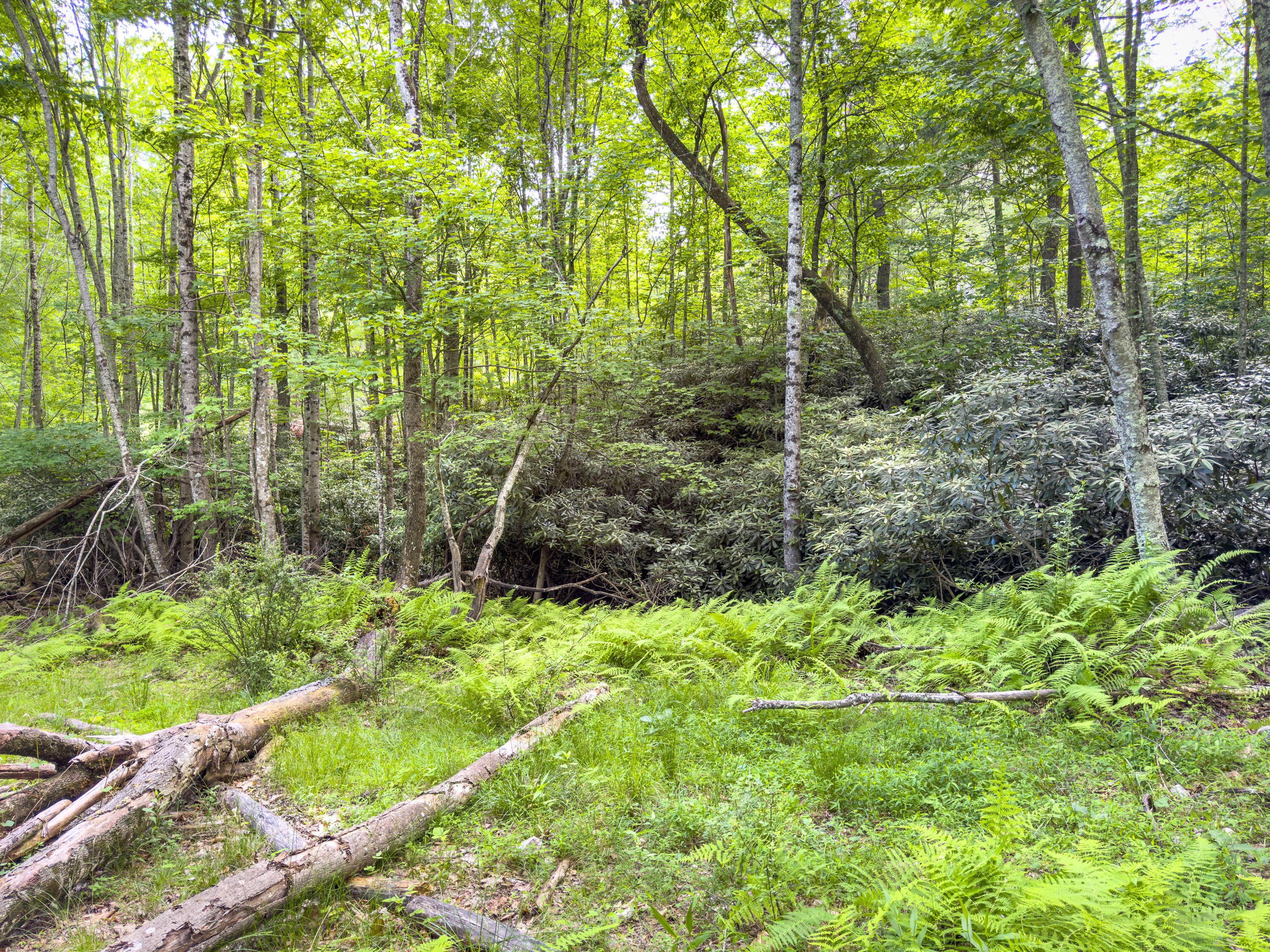 Lot 6 Sumpter Road Northwest Willis, VA 24380 - Photo 13 of 14 Lot-6-26