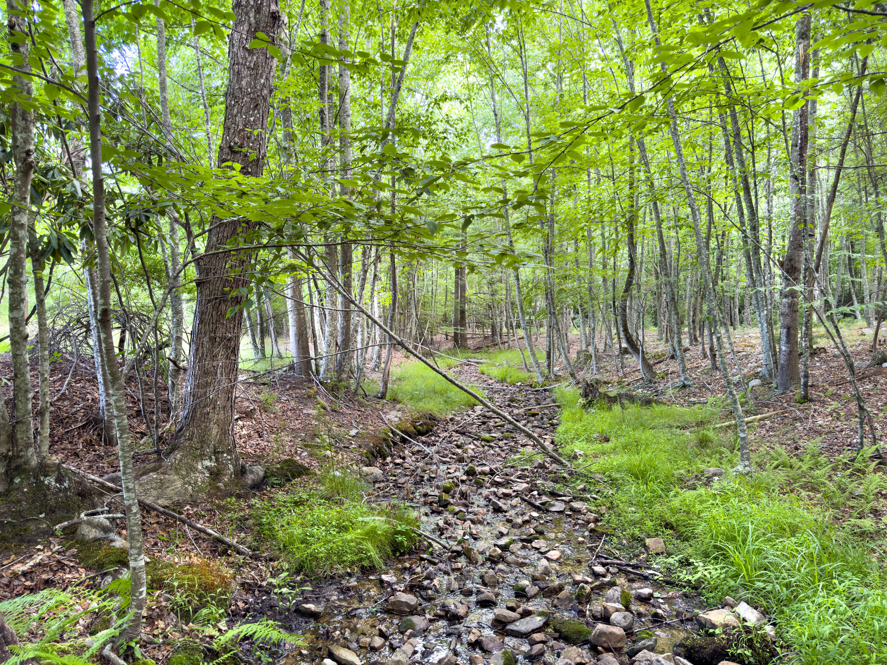 Lot 6 Sumpter Road Northwest Willis, VA 24380 - Photo 14 of 14 Lot-6-27