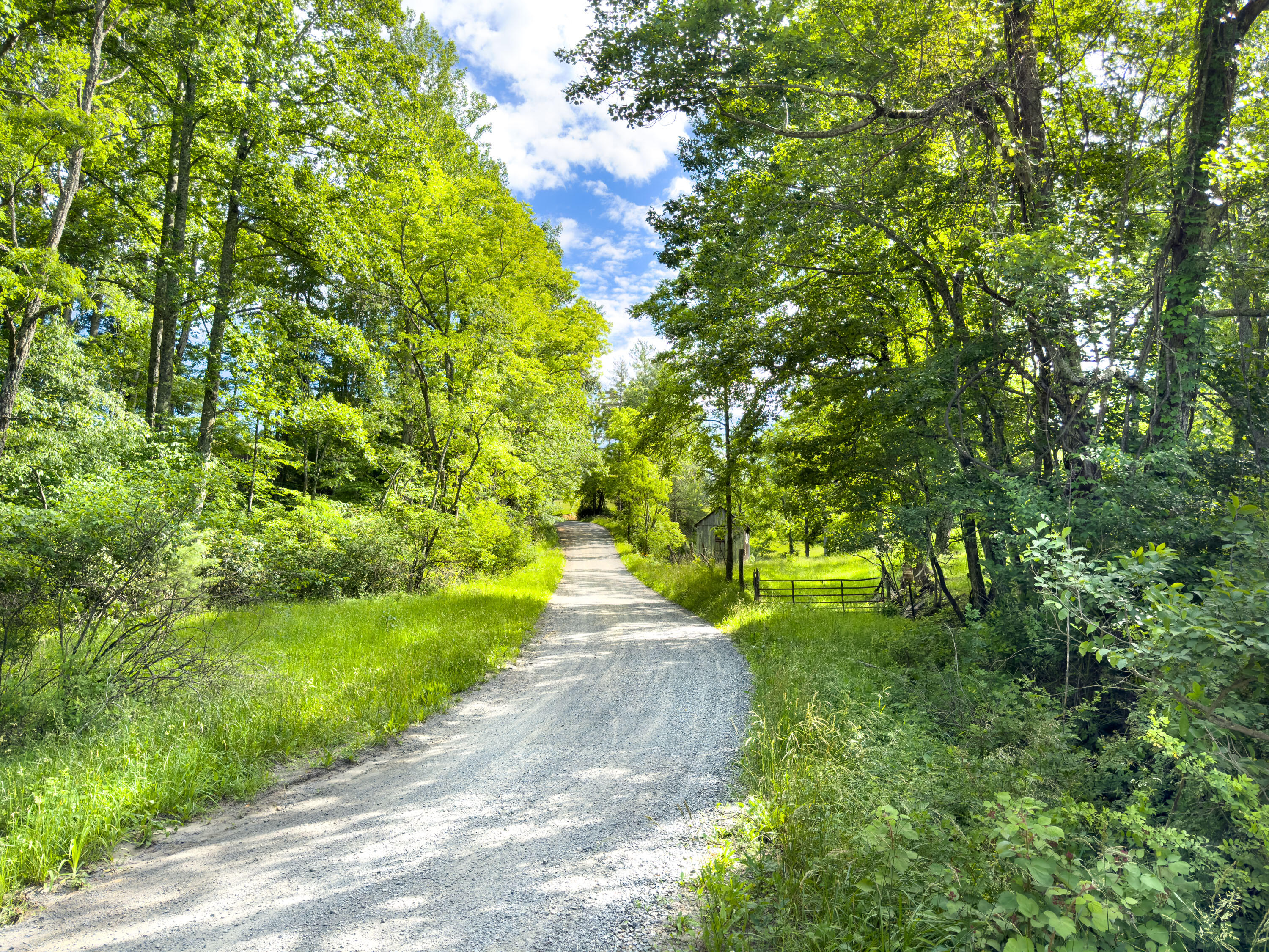 Lot 6 Sumpter Road Northwest Willis, VA 24380 - Photo 3 of 14 Lot-6-3