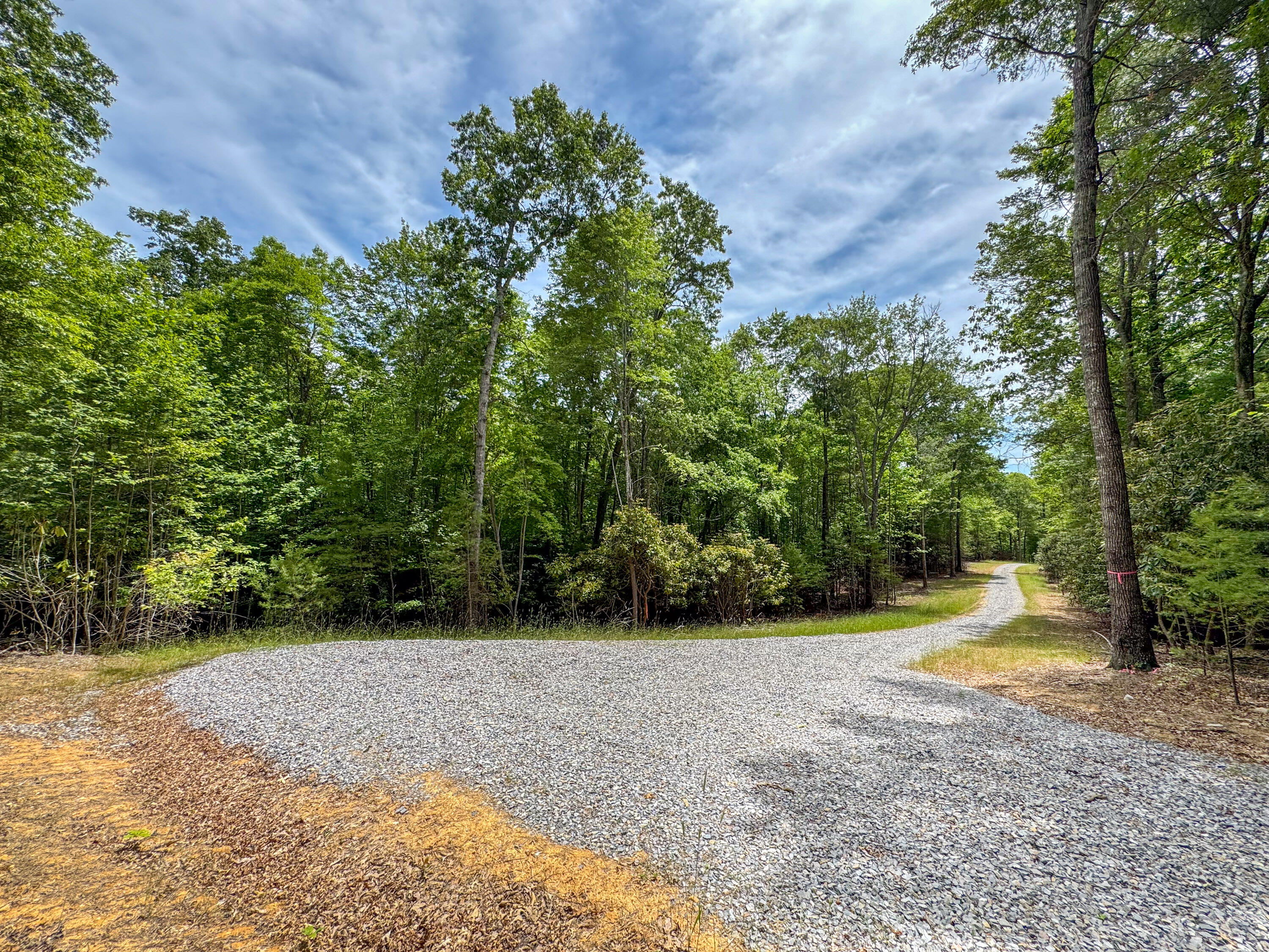 Lot 6 Sumpter Road Northwest Willis, VA 24380 - Photo 4 of 14 Lot-6-4.1
