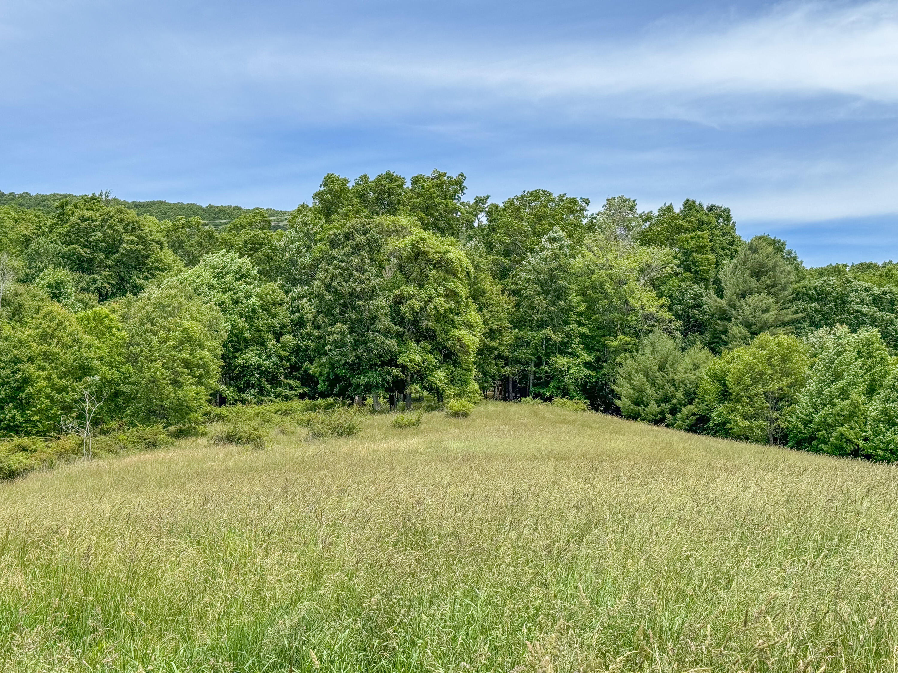 Lot 6 Sumpter Road Northwest Willis, VA 24380 - Photo 5 of 14 Lot-6-4