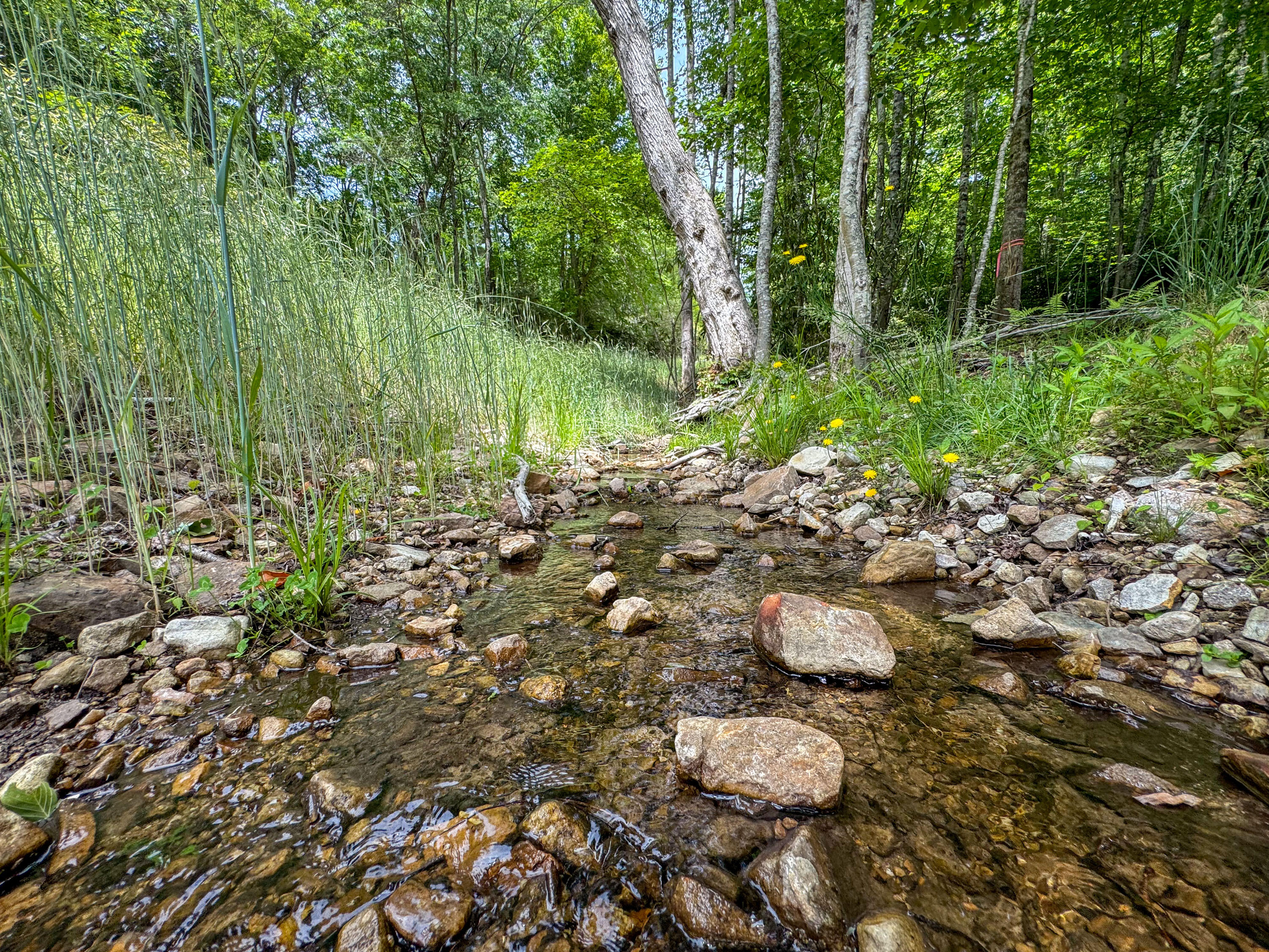 Lot 6 Sumpter Road Northwest Willis, VA 24380 - Photo 7 of 14 Lot-6-6