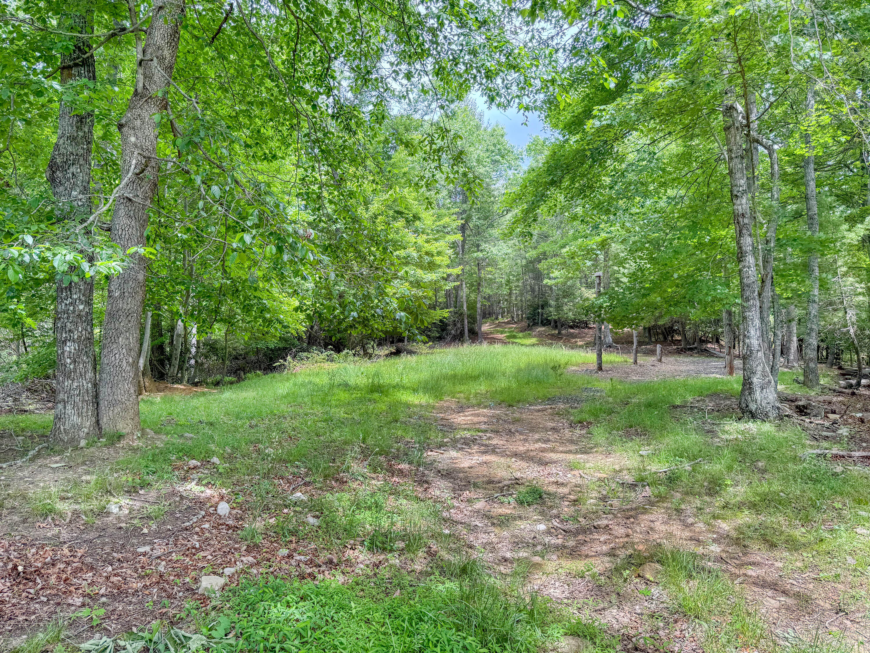 Lot 6 Sumpter Road Northwest Willis, VA 24380 - Photo 8 of 14 Lot-6-8
