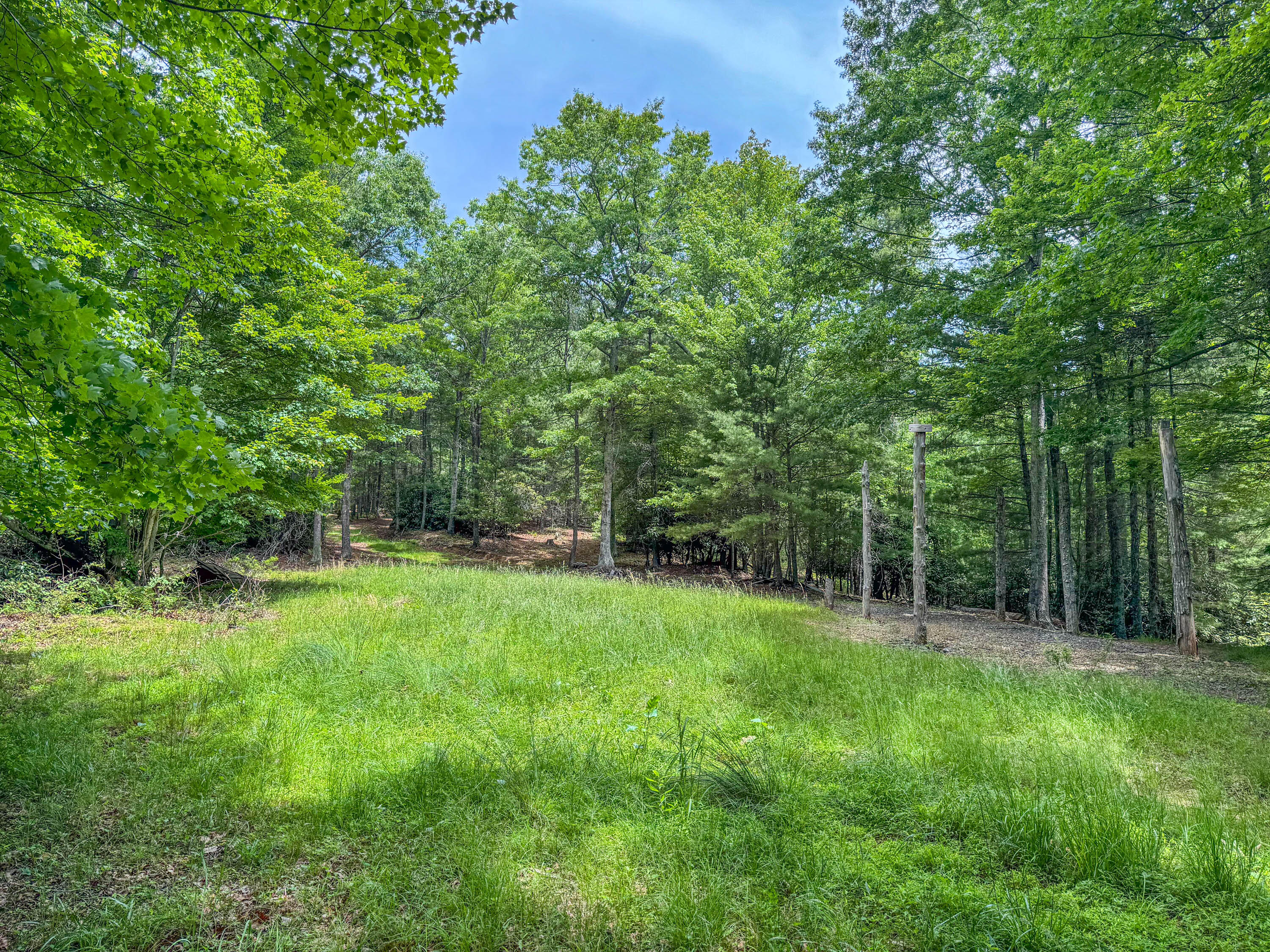 Lot 6 Sumpter Road Northwest Willis, VA 24380 - Photo 9 of 14 Lot-6-10