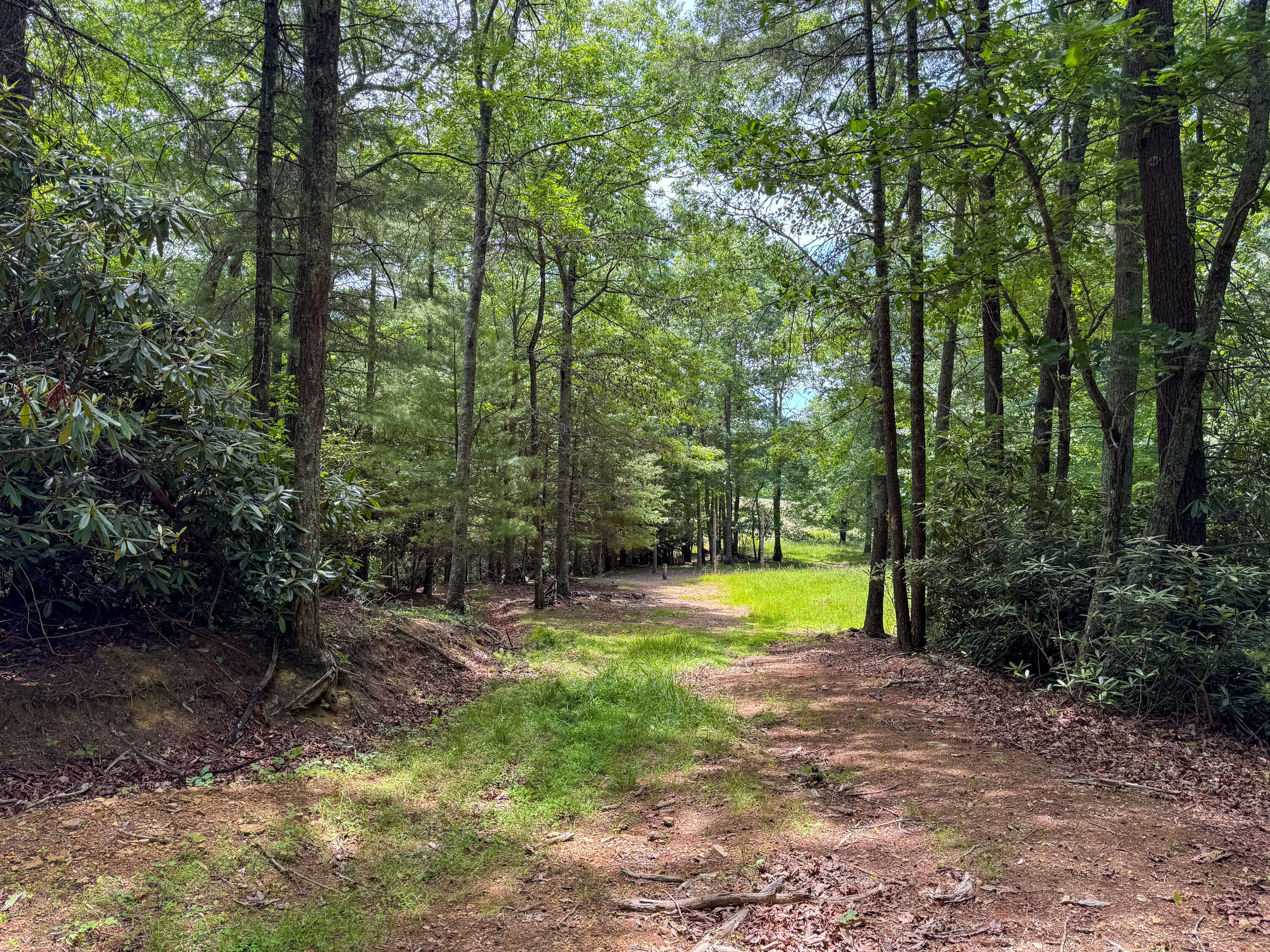 Lot 6 Sumpter Road Northwest Willis, VA 24380 - Photo 10 of 14 Lot-6-13