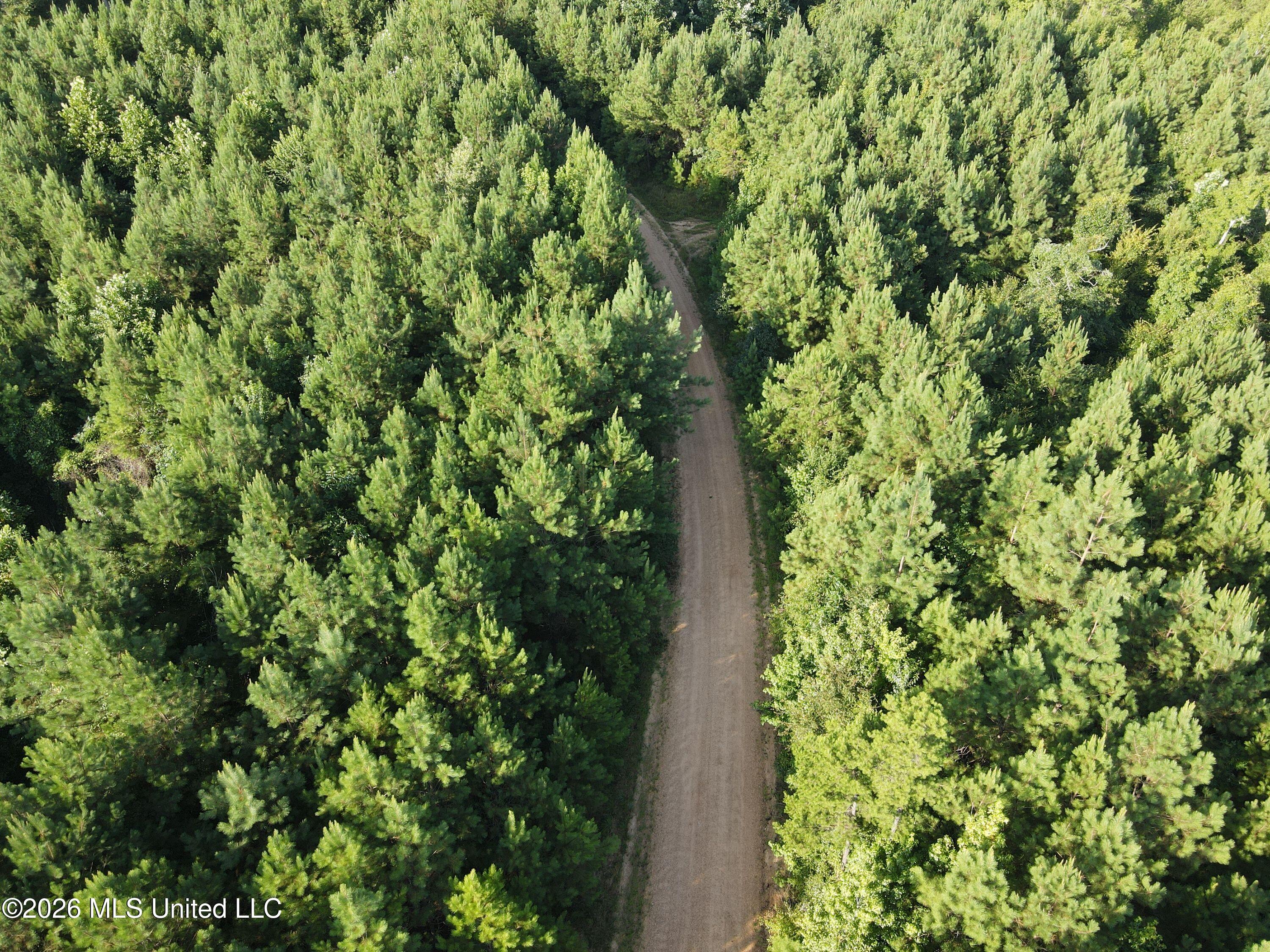 Cupit Rd Union Union Church, MS 39668 - Photo 25 of 61 DJI_0731