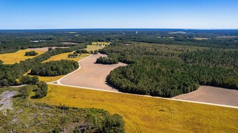 1 House Road Summerton, SC 29148 - Photo 3 of 15 Gallery Image 3