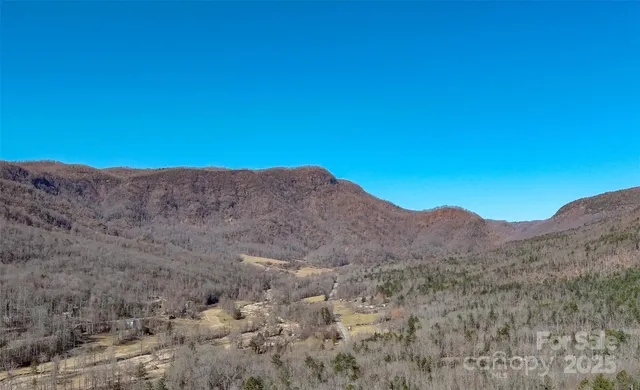 $915,000 | 60 East Valley View Drive, Marion, NC 28752