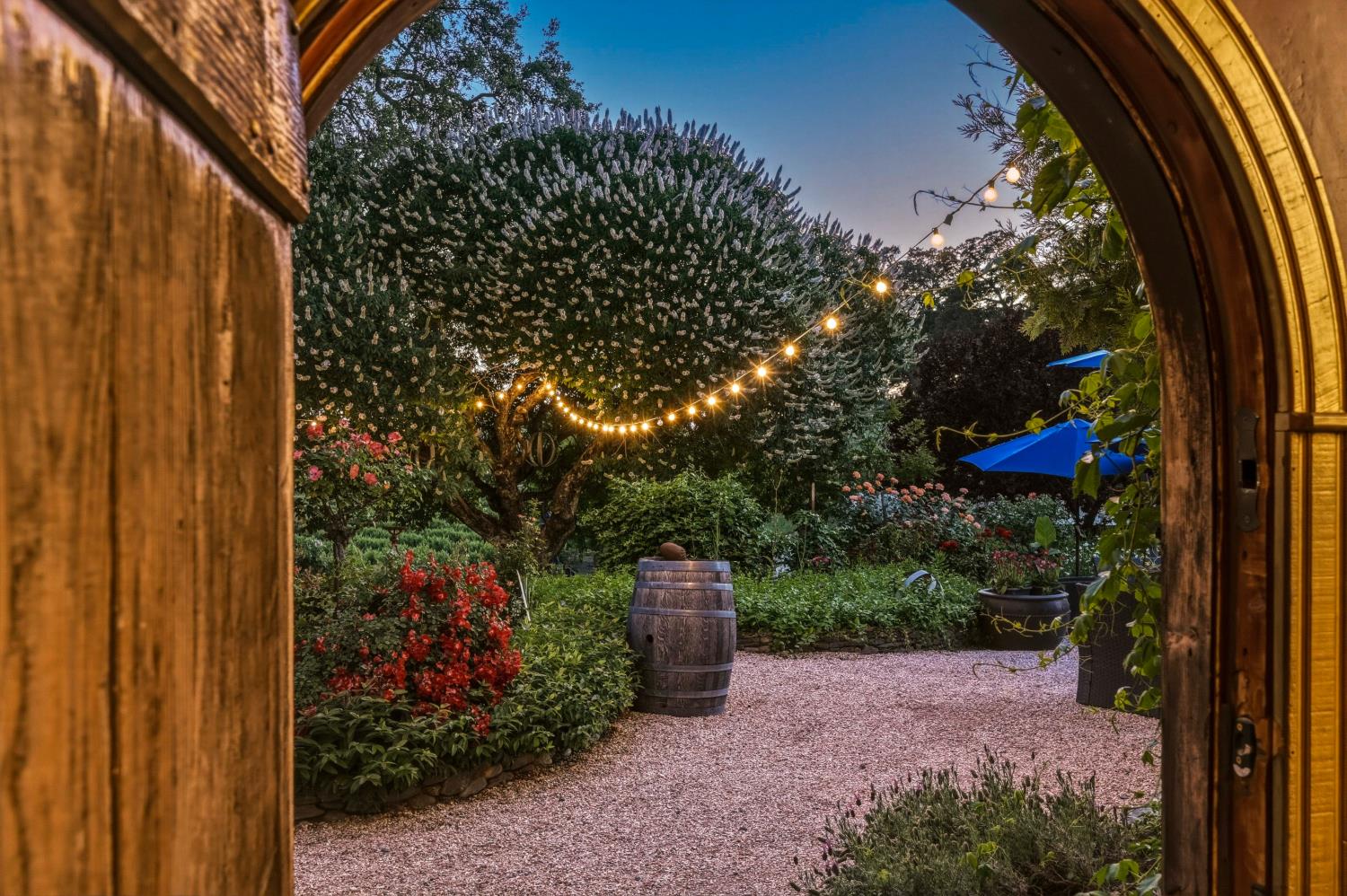 10120 Shenandoah Road Plymouth, CA 95669 - Photo 18 of 86 a view of a outdoor space