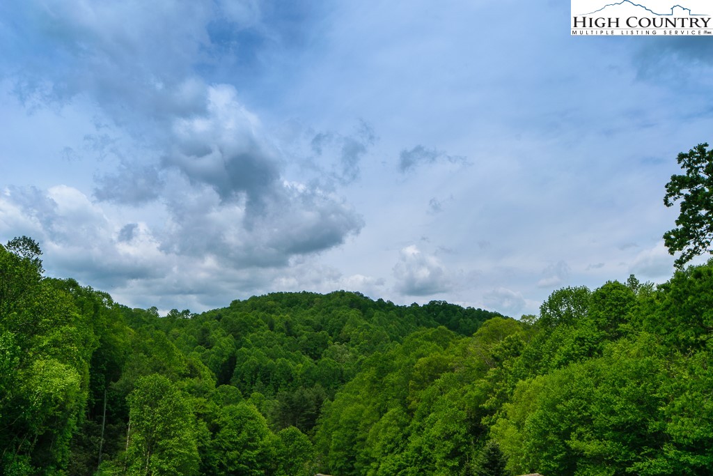 295 Roy E Brown Road Vilas, NC 28692 - Photo 2 of 43 a view of a bunch of trees and bushes
