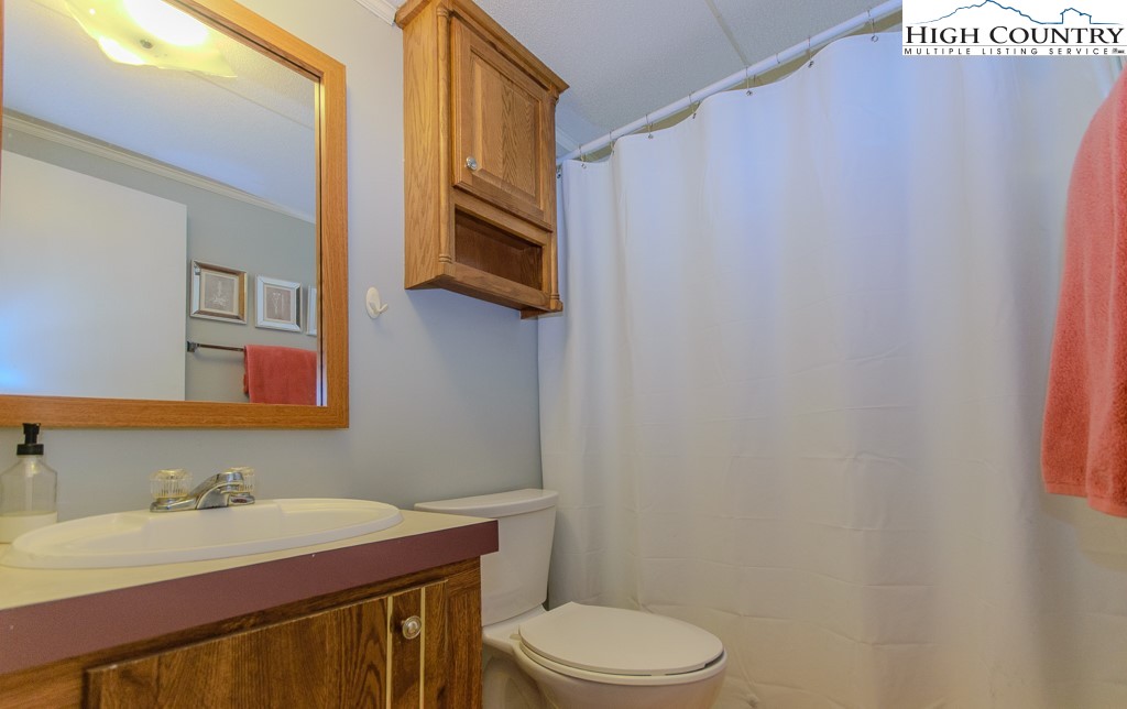 295 Roy E Brown Road Vilas, NC 28692 - Photo 38 of 43 a bathroom with a sink a toilet and mirror