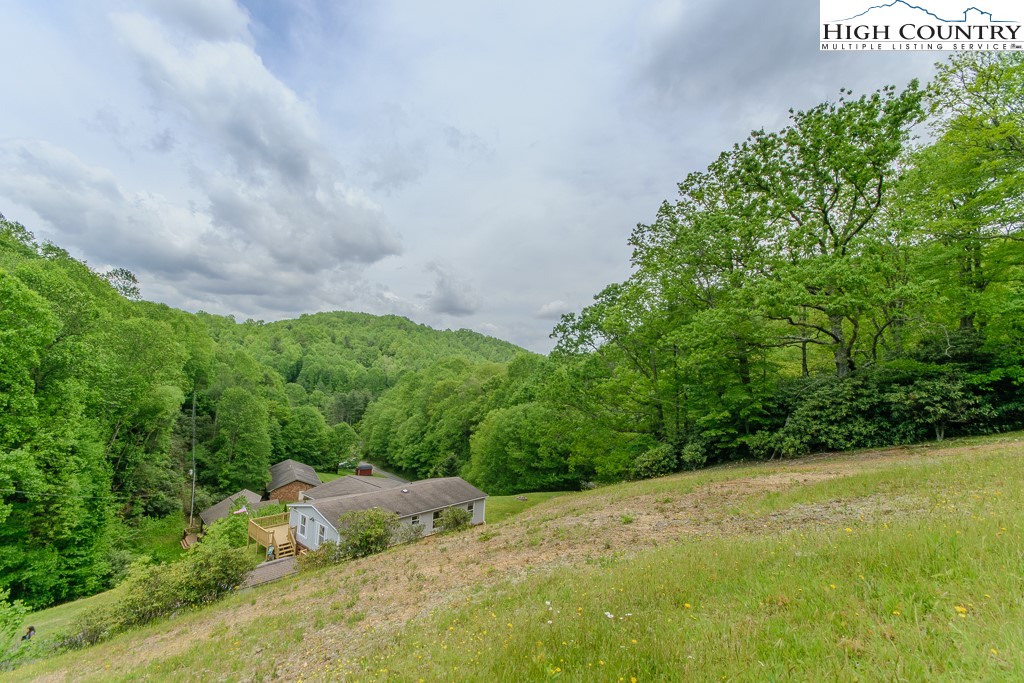 295 Roy E Brown Road Vilas, NC 28692 - Photo 43 of 43 a view of a yard with plants and large trees