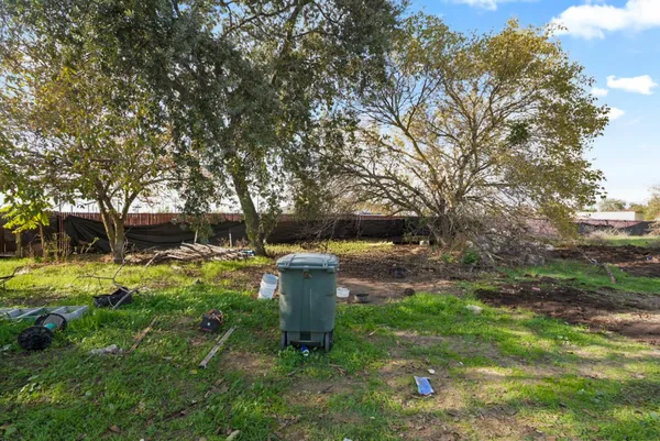 a view of a backyard with large trees