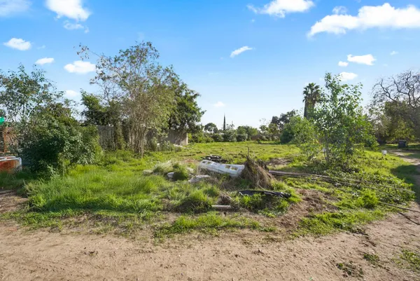 a view of a yard with a tree