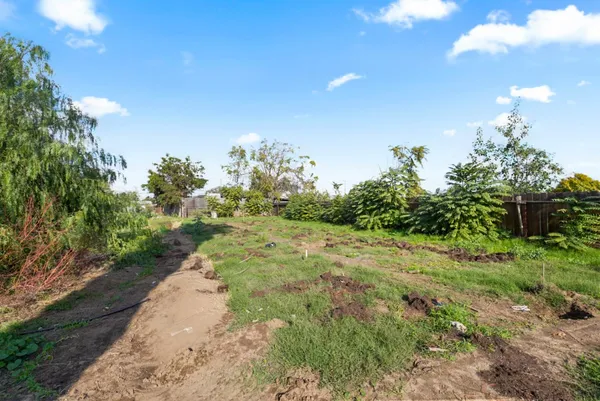 a view of a yard with an trees