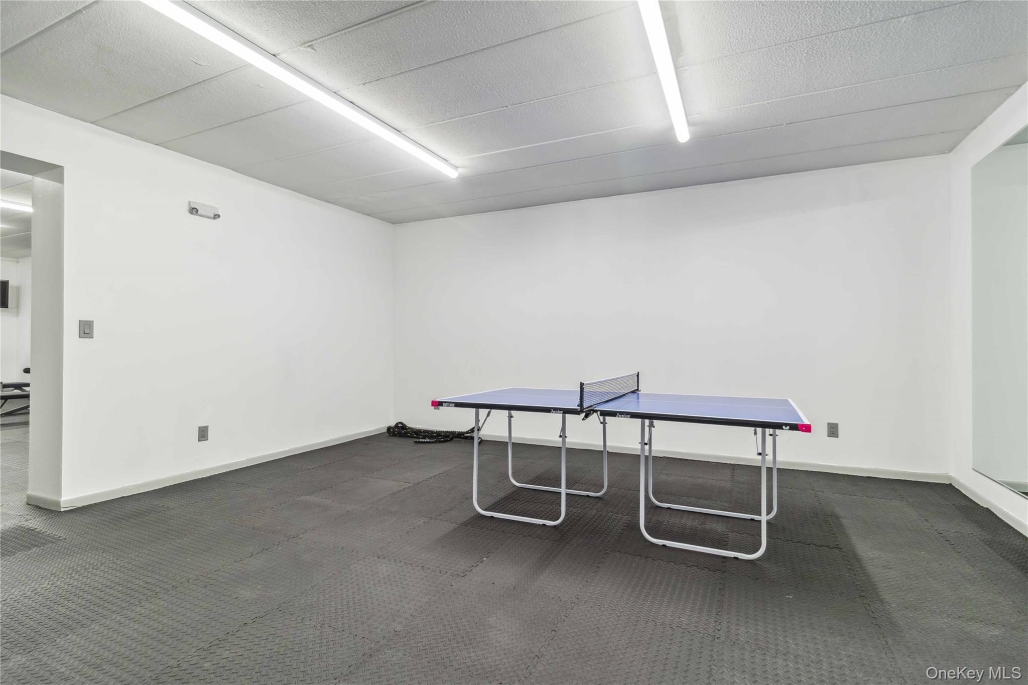 23-22 30th Road, Unit 7D Queens, NY 11102 - Photo 25 of 29 Playroom with carpet floors and baseboards