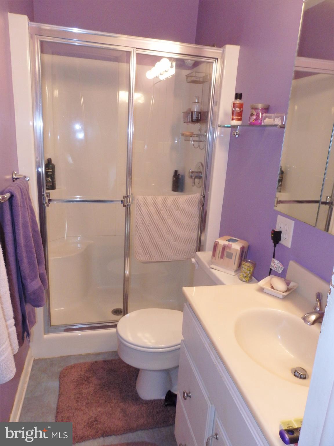 9308 View Court Frederick, MD 21701 - Photo 19 of 30 Master bath has seated shower