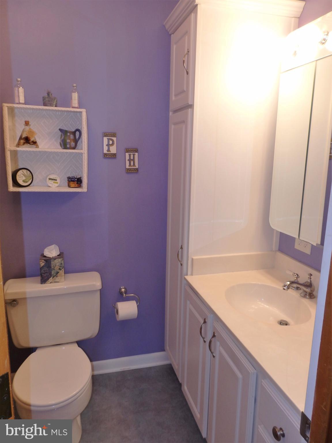 9308 View Court Frederick, MD 21701 - Photo 26 of 30 Hall full bath has lots of cabinet space